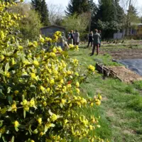 Gemüsehelden Frankfurt Main